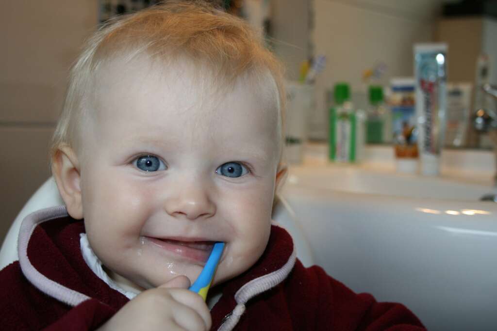 1 year old baby with his first dental visit